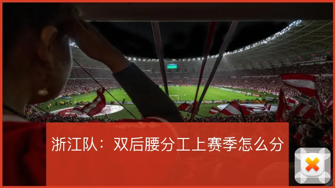浙江队：双后腰分工上赛季怎么分