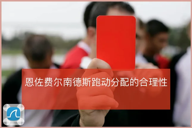 恩佐费尔南德斯跑动分配的合理性